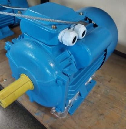 MOTOR DE 10 HP BRUNELLI