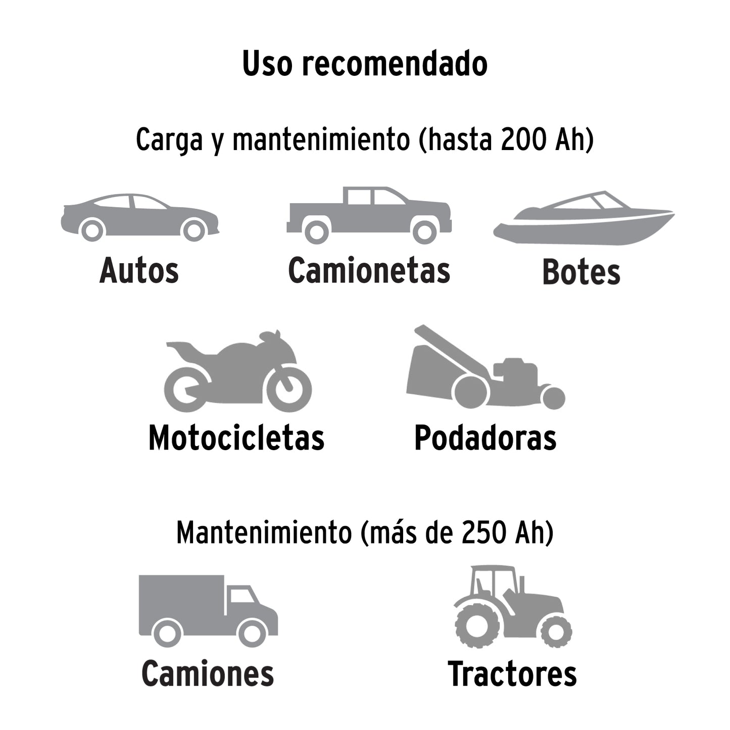 CARGADOR DE BATERIA TRUPER DE 100A 12-24V