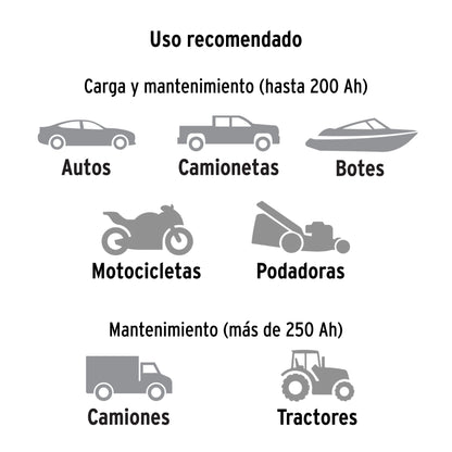 CARGADOR DE BATERIA TRUPER DE 100A 12-24V