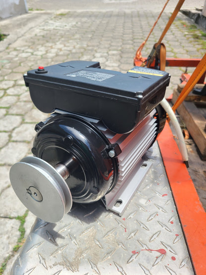 MOTOR DE 4 HP DE 3500 RPM TRUPER CON POLEA