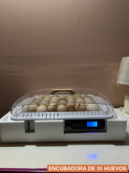ENCUBADORA DE 35 HUEVOS