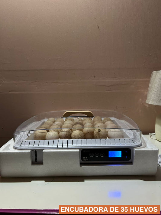 ENCUBADORA DE 35 HUEVOS