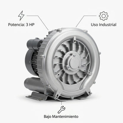 Regenerative Blower — Infografia de Caracteristicas | Generated by Modelize