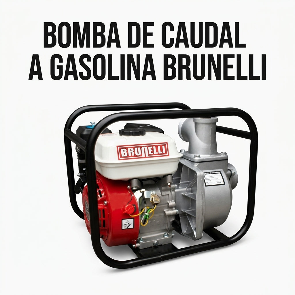 Gasoline-powered water pump — Portada Principal - Estudio Blanco | Generated by Modelize