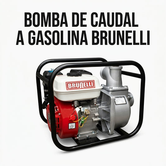 Gasoline-powered water pump — Portada Principal - Estudio Blanco | Generated by Modelize