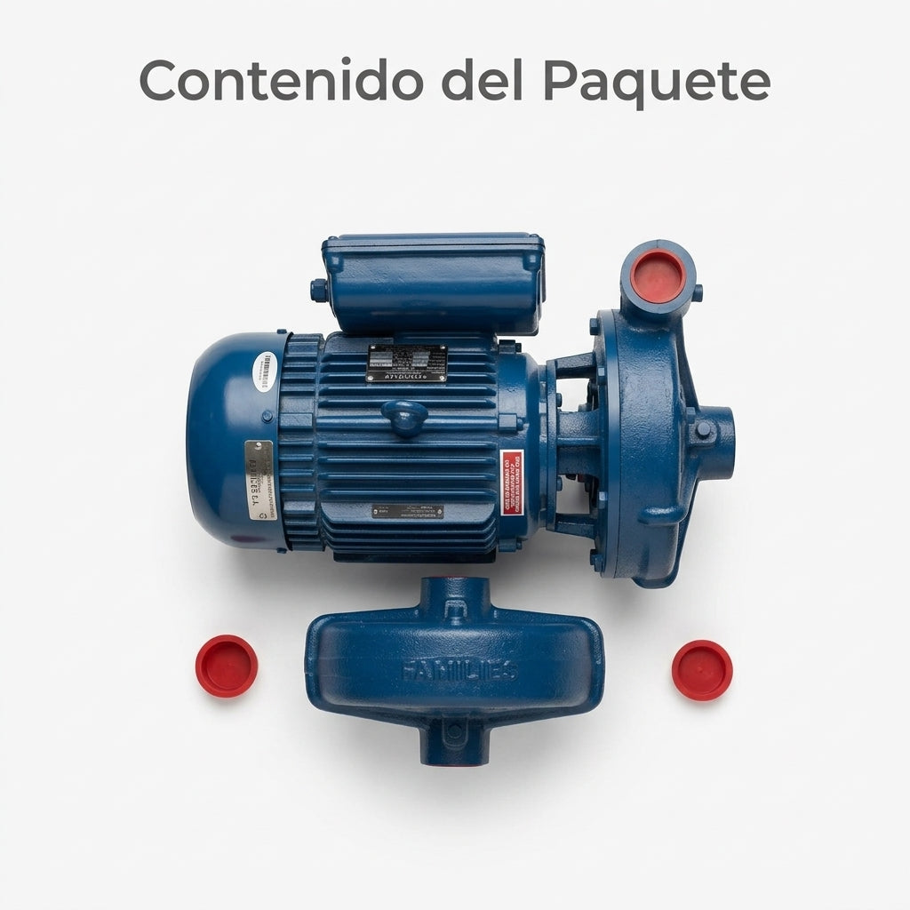 Centrifugal Electric Pump — Contenido del Paquete - Vista Aerea | Generated by Modelize
