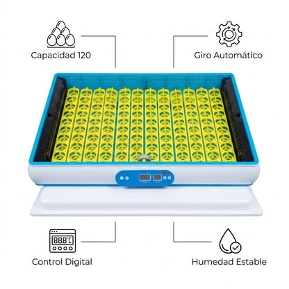 Egg incubator — Infografia de Caracteristicas | Generated by Modelize