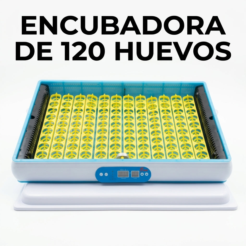 Automatic egg incubator — Portada Principal - Estudio Blanco | Generated by Modelize