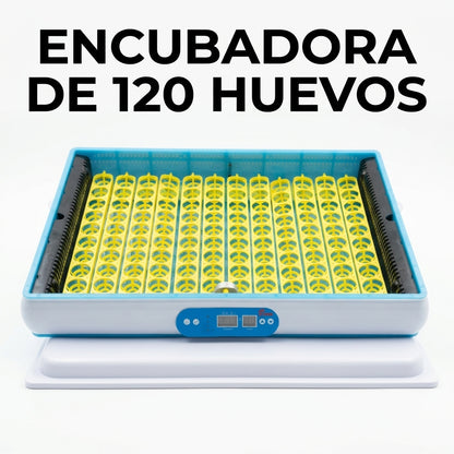 Automatic egg incubator — Portada Principal - Estudio Blanco | Generated by Modelize