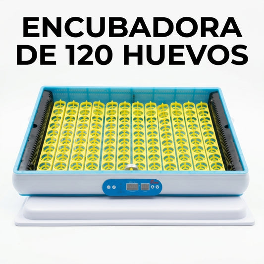 Automatic egg incubator — Portada Principal - Estudio Blanco | Generated by Modelize