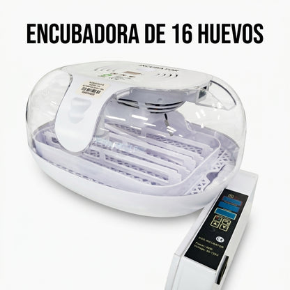 Automatic egg incubator — Portada Principal - Estudio Blanco | Generated by Modelize