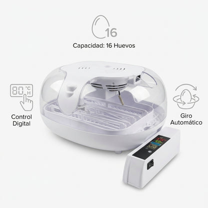 Incubadora automática de huevos — Infografia de Caracteristicas | Generated by Modelize