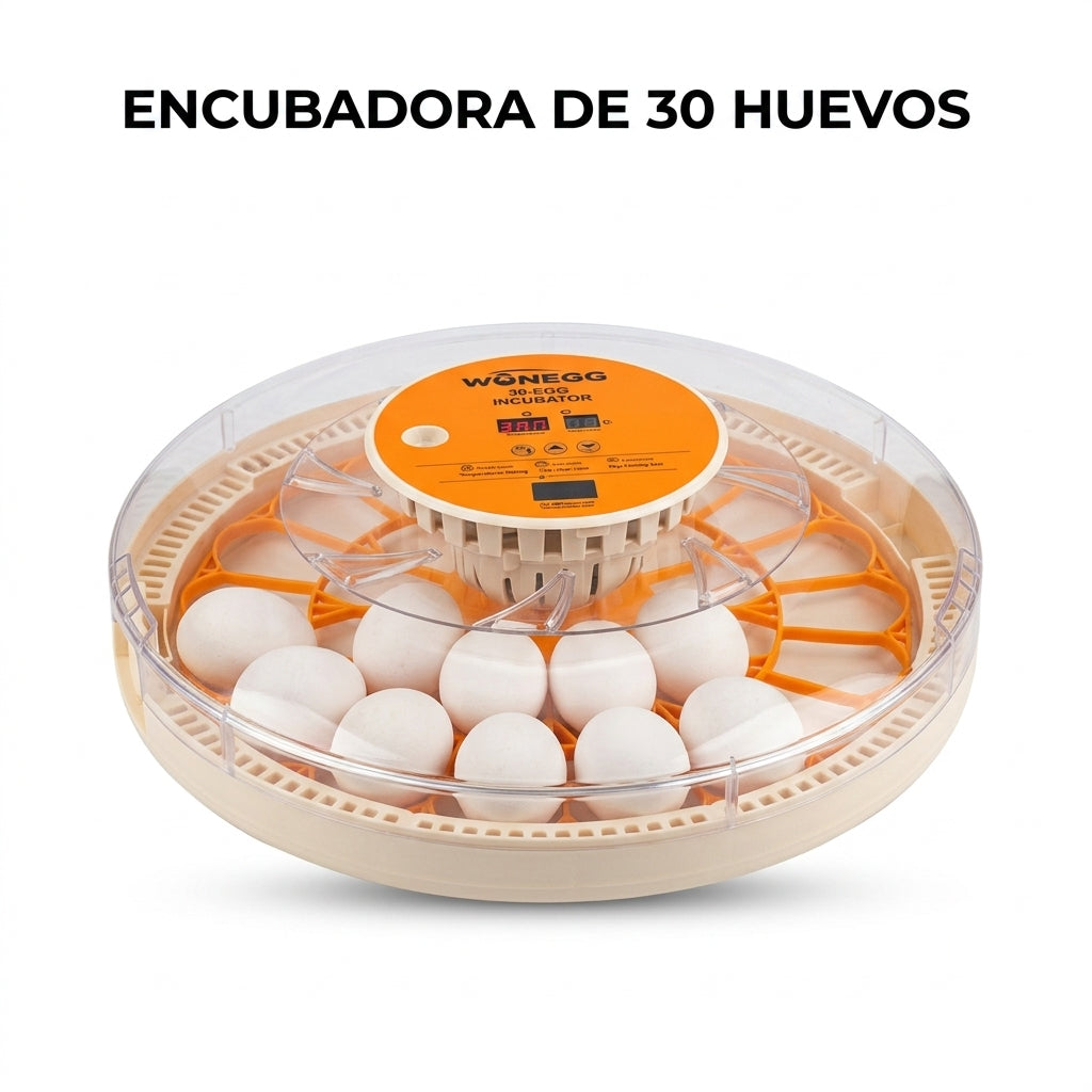 Egg incubator — Portada Principal - Estudio Blanco | Generated by Modelize