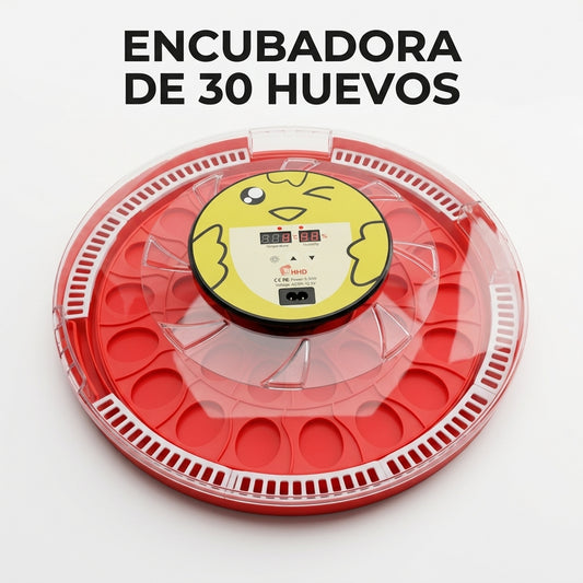 Egg Incubator — Portada Principal - Estudio Blanco | Generated by Modelize