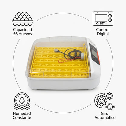 Egg Incubator — Infografia de Caracteristicas | Generated by Modelize