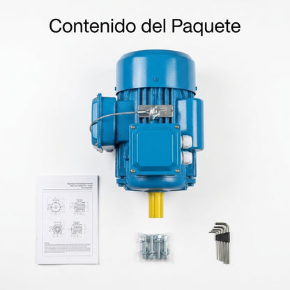 Industrial Electric Motor — Contenido del Paquete - Vista Aerea | Generated by Modelize