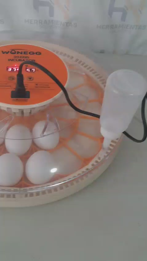 ENCUBADORA DE 30 HUEVOS